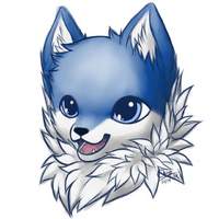 Mr_Wolfy