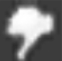 Jolocaust
