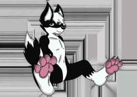 WereWolfNights
