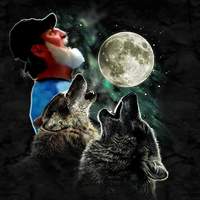 dogsunited