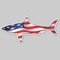 Kennytheshark