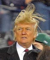 Donald J. Trump