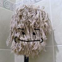 TheLivingMop