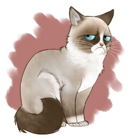 MrGumpy