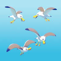 SeagullsCove