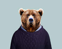 ASaltyGrizzly