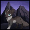 tigerstar102
