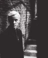 LikeDraco
