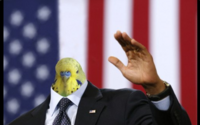 ReqReqReqolution