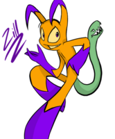 aspringzachary