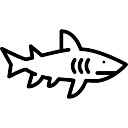 ...SharK...