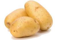 SepelaThons