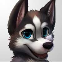 KolWolf