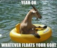 Floatgoat