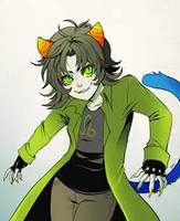 Nepeta_Leijon