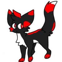DarkFox 71