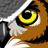 a good owl