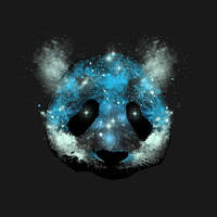 CosmicPanda145