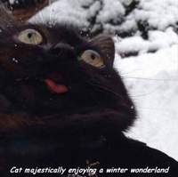 KateSquish