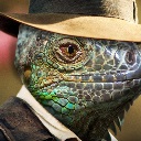 IguanaBrones