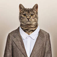 tommykitty123
