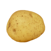 CesiumCs