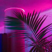 LightlyDying
