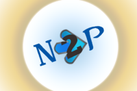 N2P