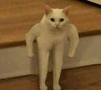 oldskoolnick's Avatar