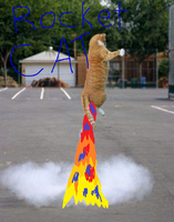 ChillFactor