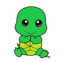 CanadianTurtle