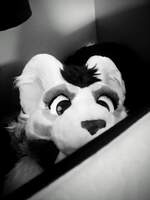 PunkSkunk