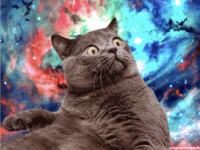 HazzieLombax