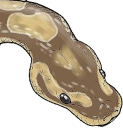 HarpoCoatl