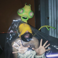 TurtleExiled