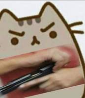 Xan6
