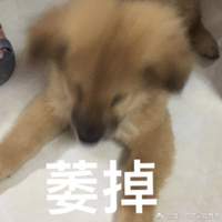 Scho0L