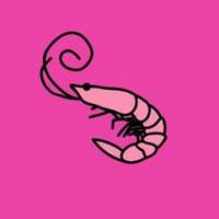 OneShrimpyBoi