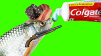 coolmanjohn