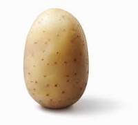 IdiPotato