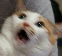Ge0
