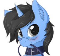 CordingWater6