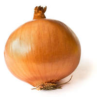 TheDankOnion