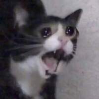 pikalols18