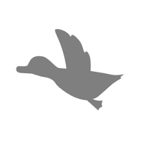 ChlorineDX