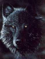 Wolftear