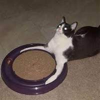 OmegamegaLol