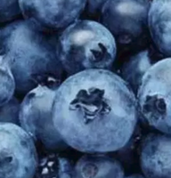 BluBerry69