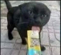 Astroderp