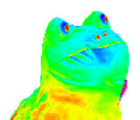 CamTypez